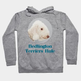 Bedlington Terriers Rule Hoodie